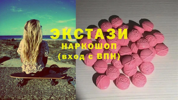 гашик Вязьма