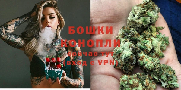 ECSTASY Вяземский