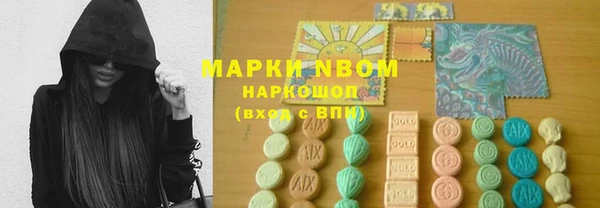 гашик Вязьма