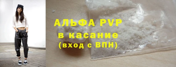 ECSTASY Вяземский