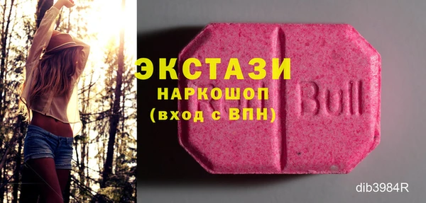 ECSTASY Вяземский