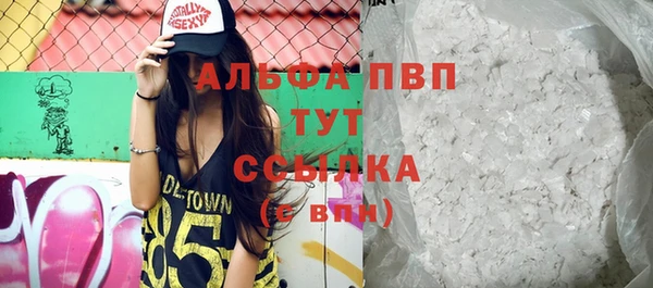 ECSTASY Вяземский
