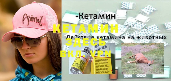 ECSTASY Вяземский